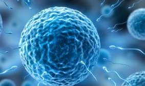 男性染色体异常能做试管婴儿吗？成功率可保持在40%-50%