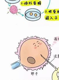 泰国三代试管机构排名公布，成功率排名一览