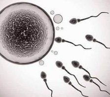 广州南方医院做试管婴儿要多少钱？