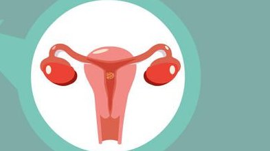 2026年想去汝州市做试管婴儿需要准备哪些事？详细收费明细一览