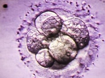 2026广西桂林市十大正规助孕机构盘点，这三家更方面很完美