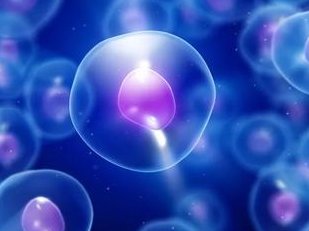 三代泰国三代试管婴儿费用标准，专业医院多少钱？